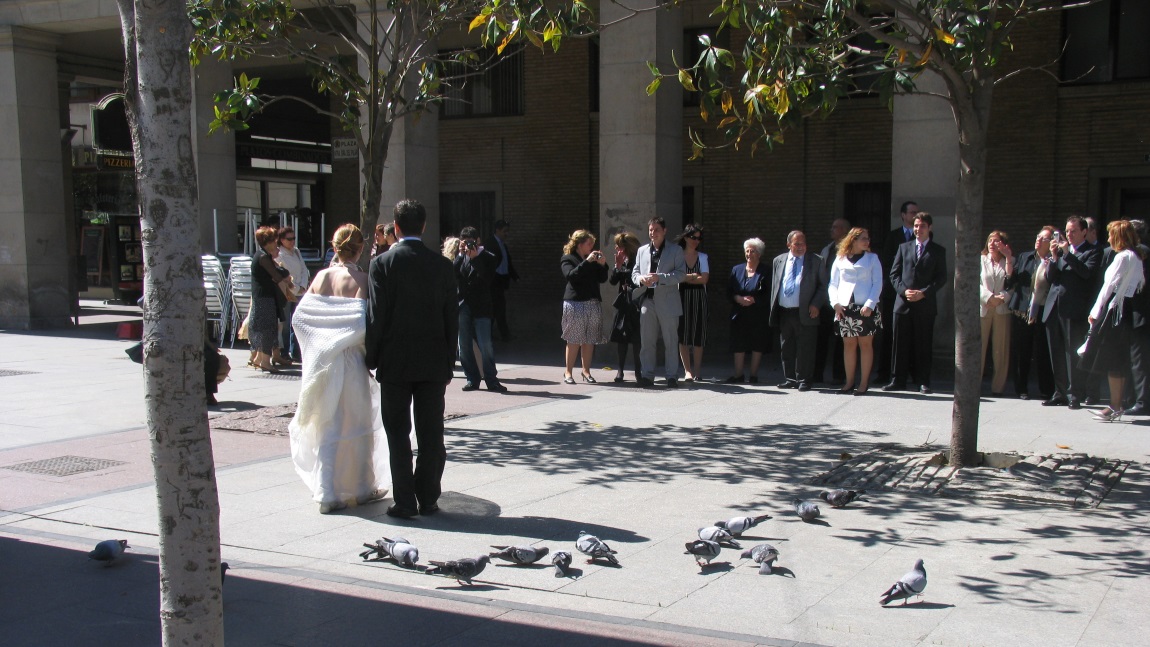 Wedding taking place