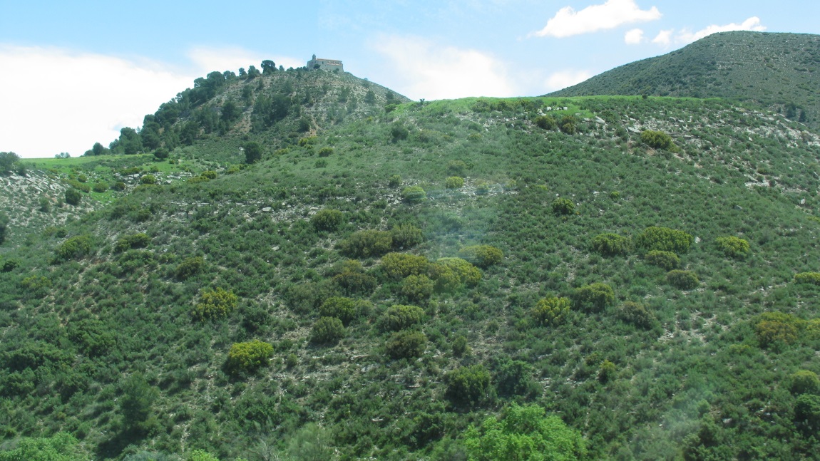 Zaragoza to Barcelona