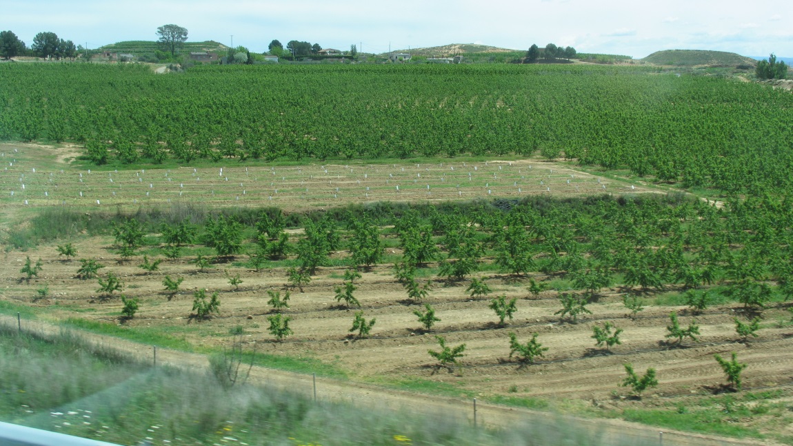 Zaragoza to Barcelona