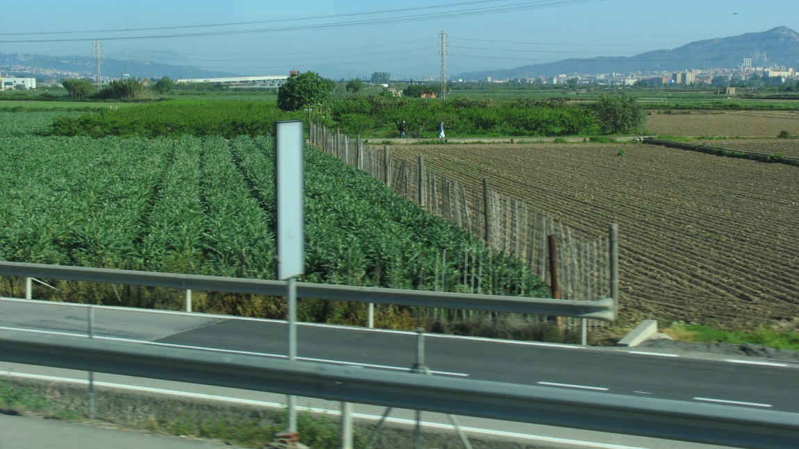 We pass many farms