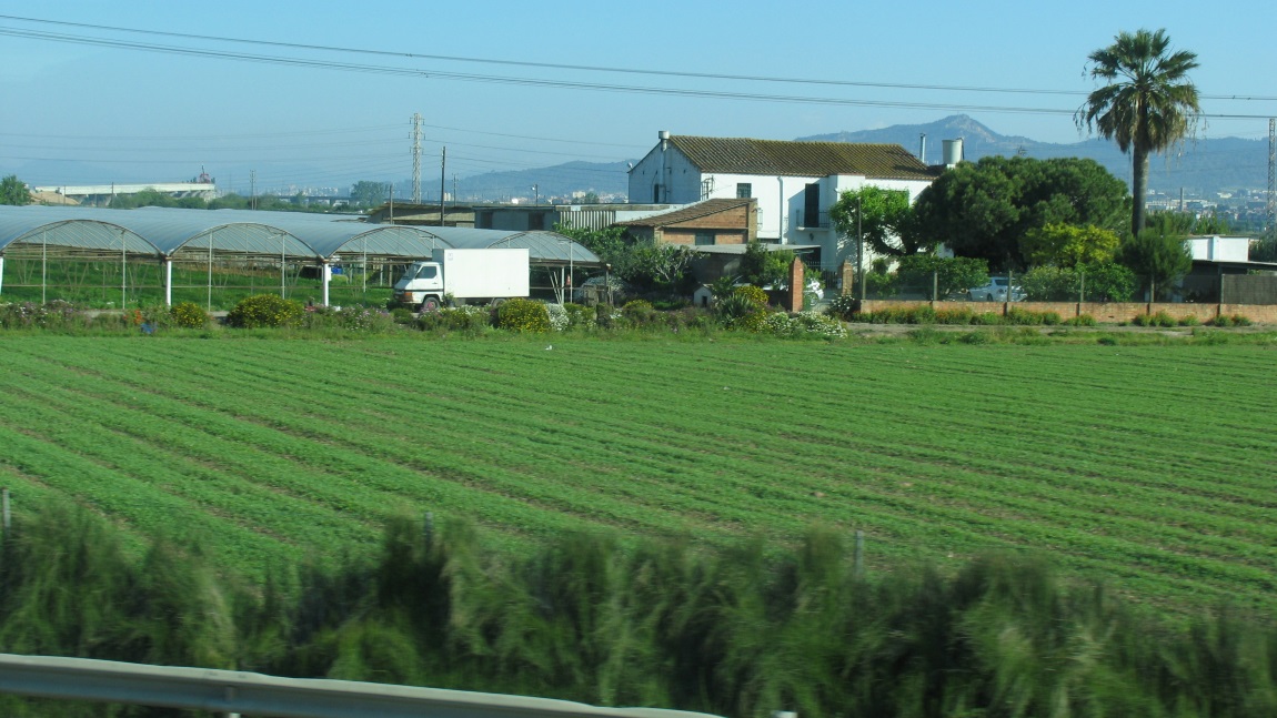 We pass many farms