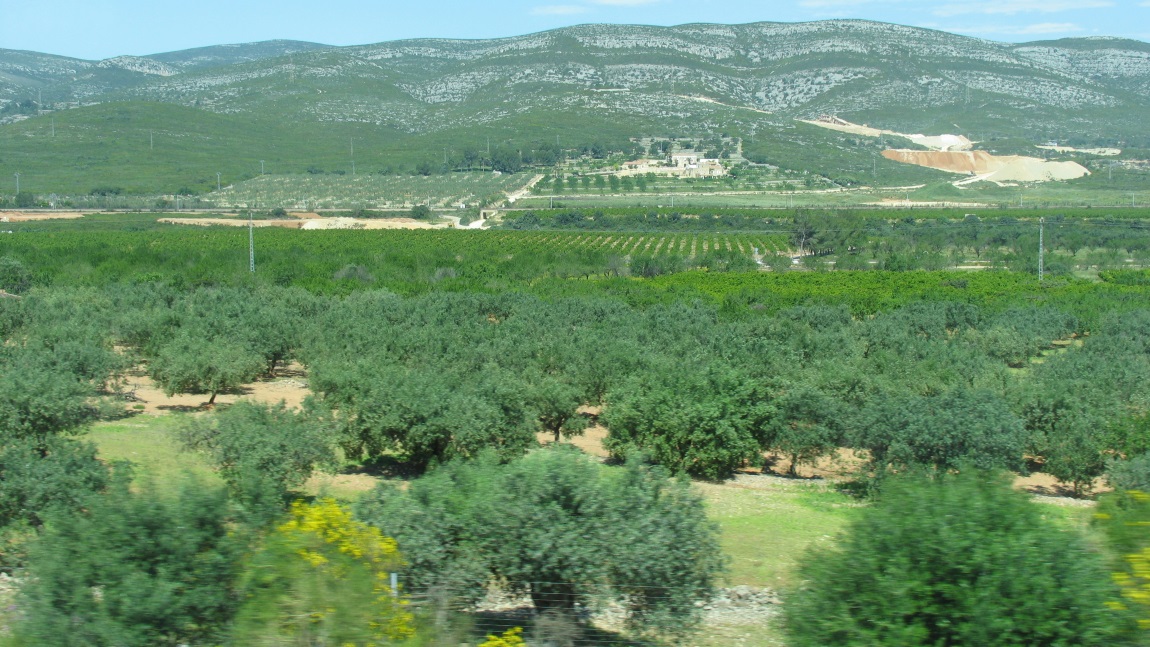 On the road from Barcelona to Valencia