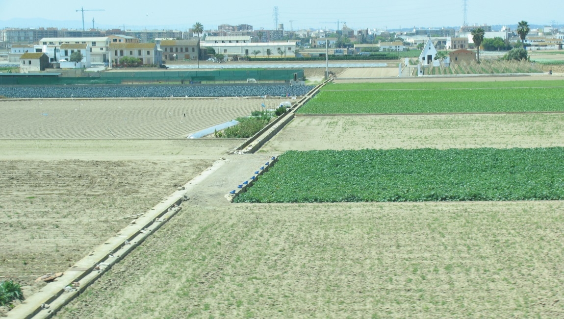 More farms