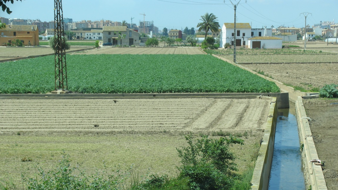More farms