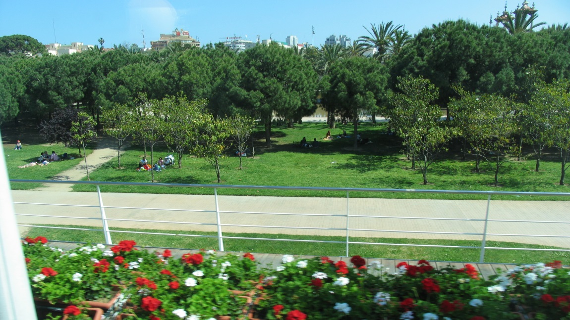 Bus tour of Valencia