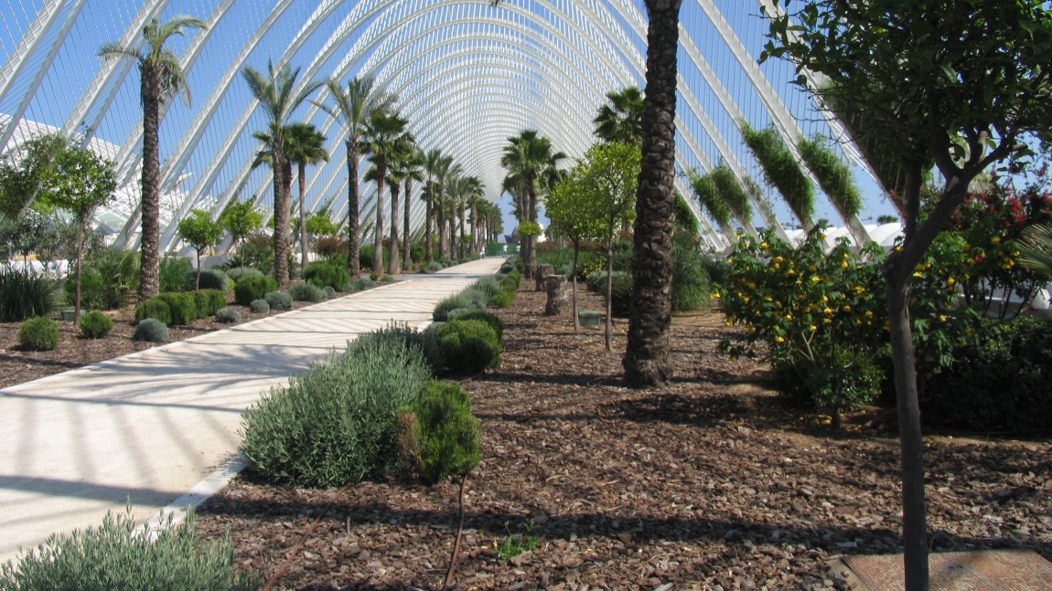 Inside L'Umbracle Gallery