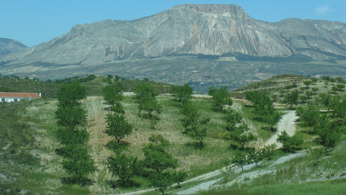 Driving from Valencia to Granada