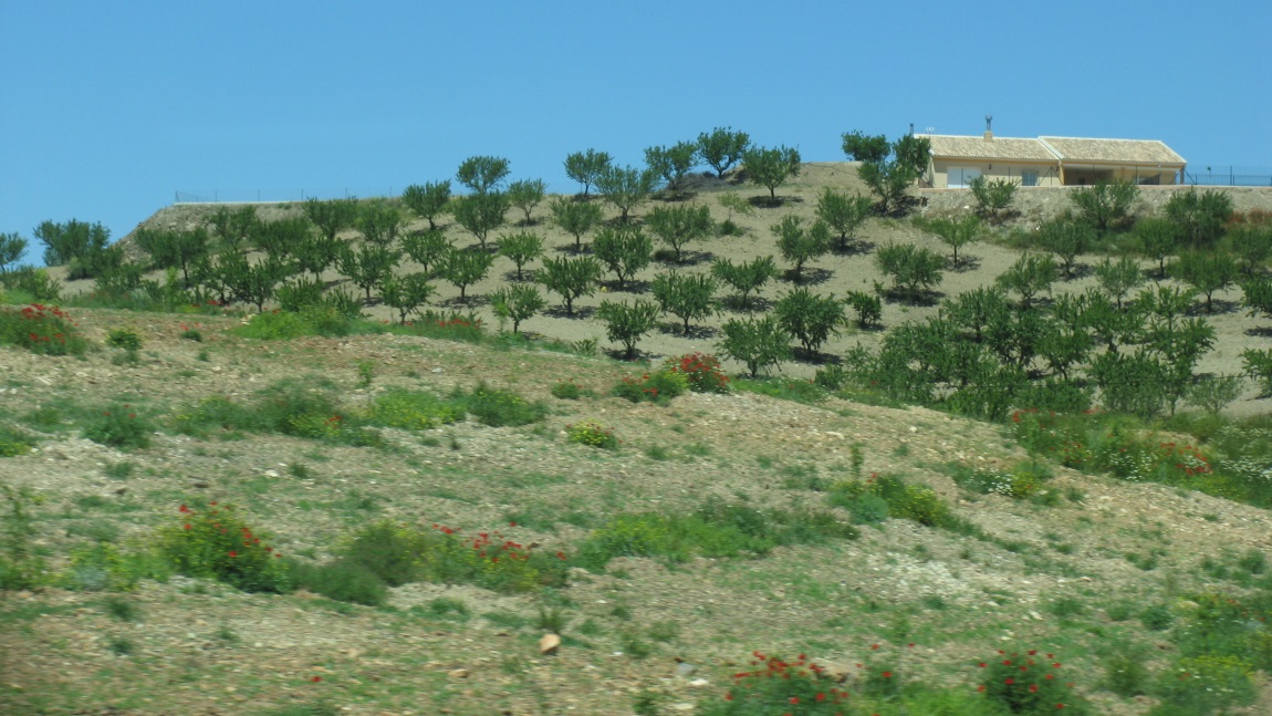 Driving from Valencia to Granada