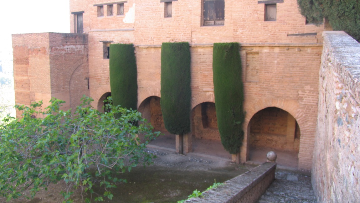 Amazingly sculpted trees at La Alhambra