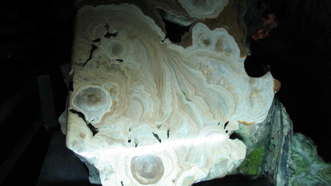 Cross section of a stalagmite
