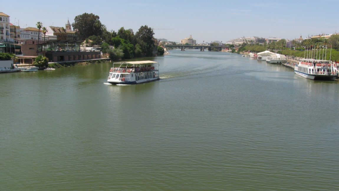 San Telmo bridge