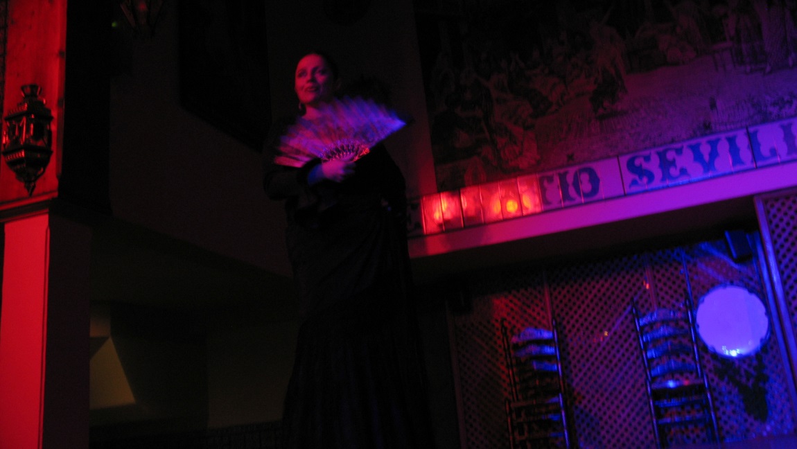 Flamenco show