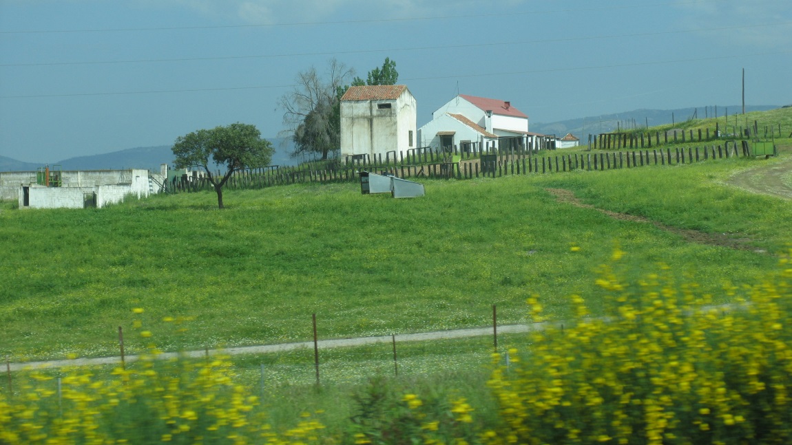 Driving from Seville to Madrid