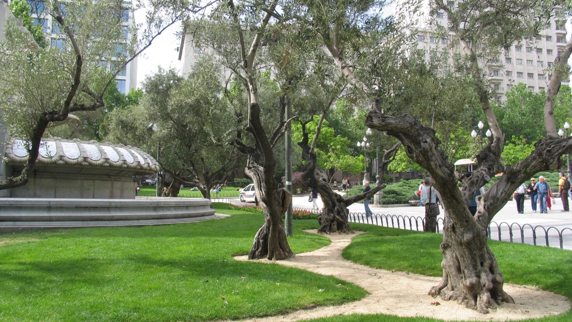 Plaza de Espaa