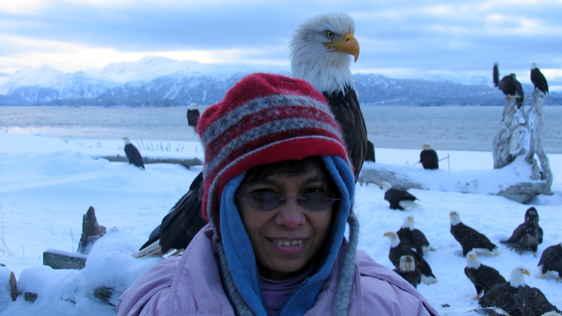 Bald Eagle feeding area