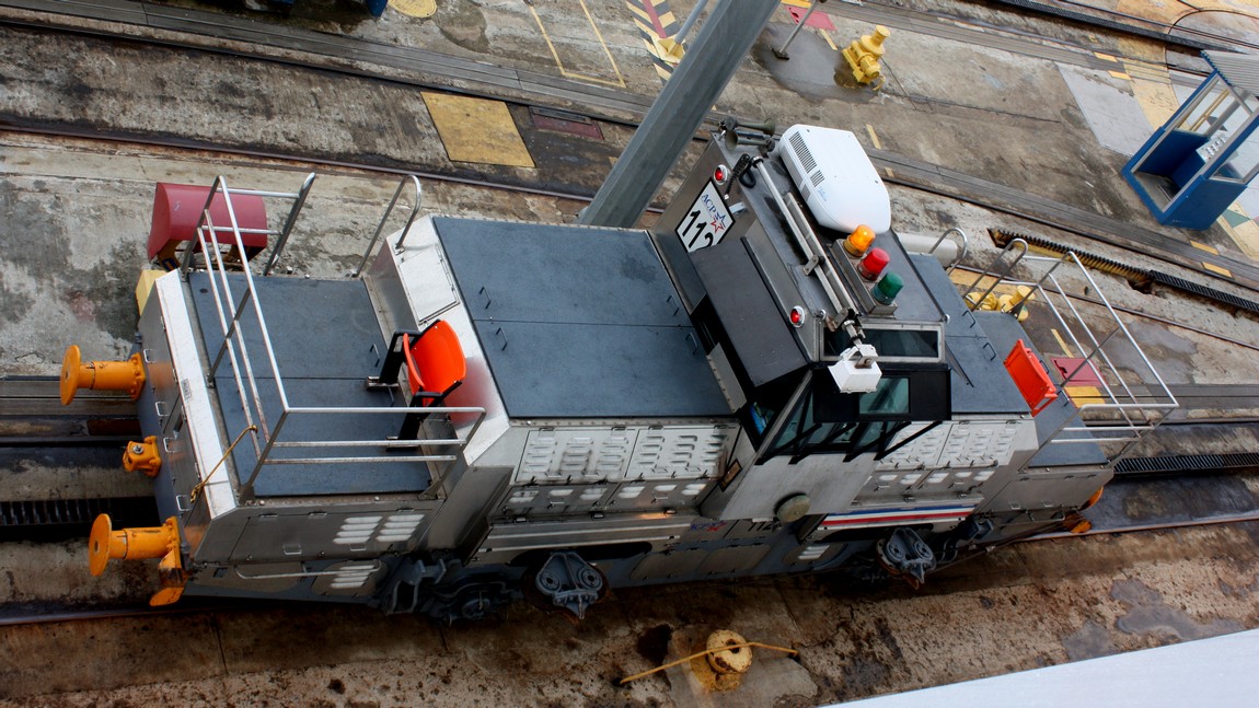 Looking down at one of the mules