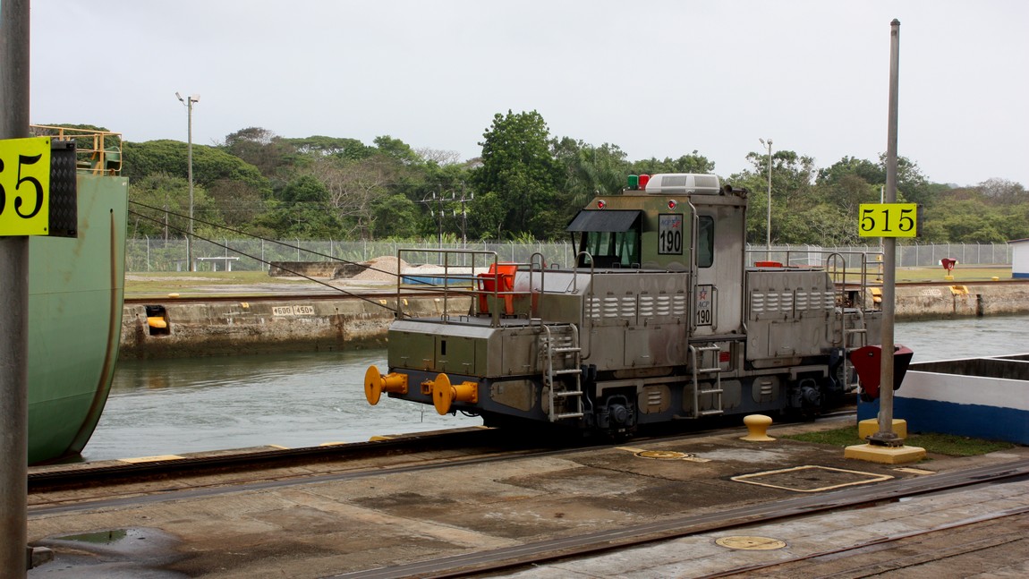 Mule guiding the ship next to us