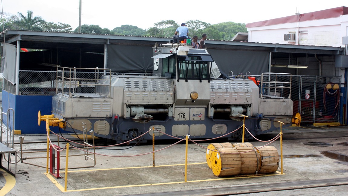 Sitting around on a mule