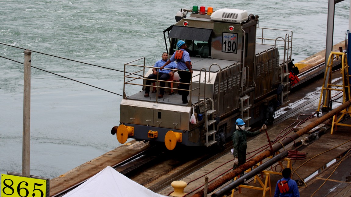Mule guiding the ship next to us