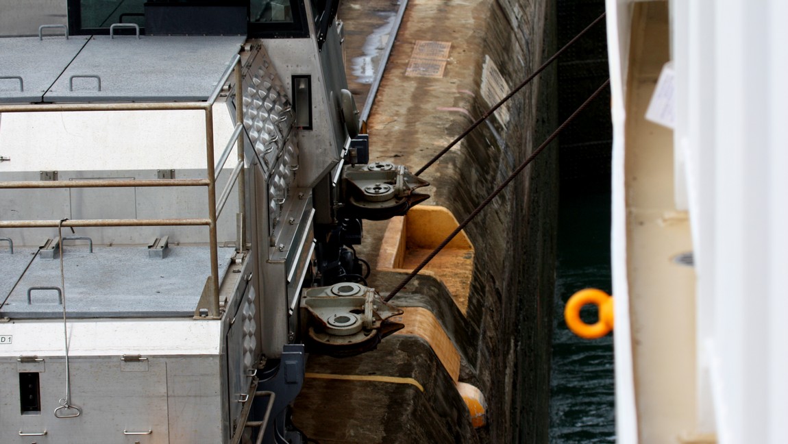 Mule guiding the Norwegian Pearl