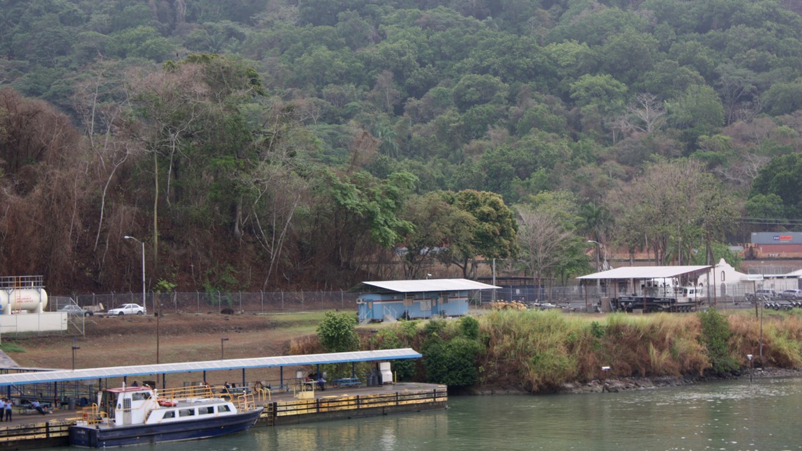 Activity on the side of the canal