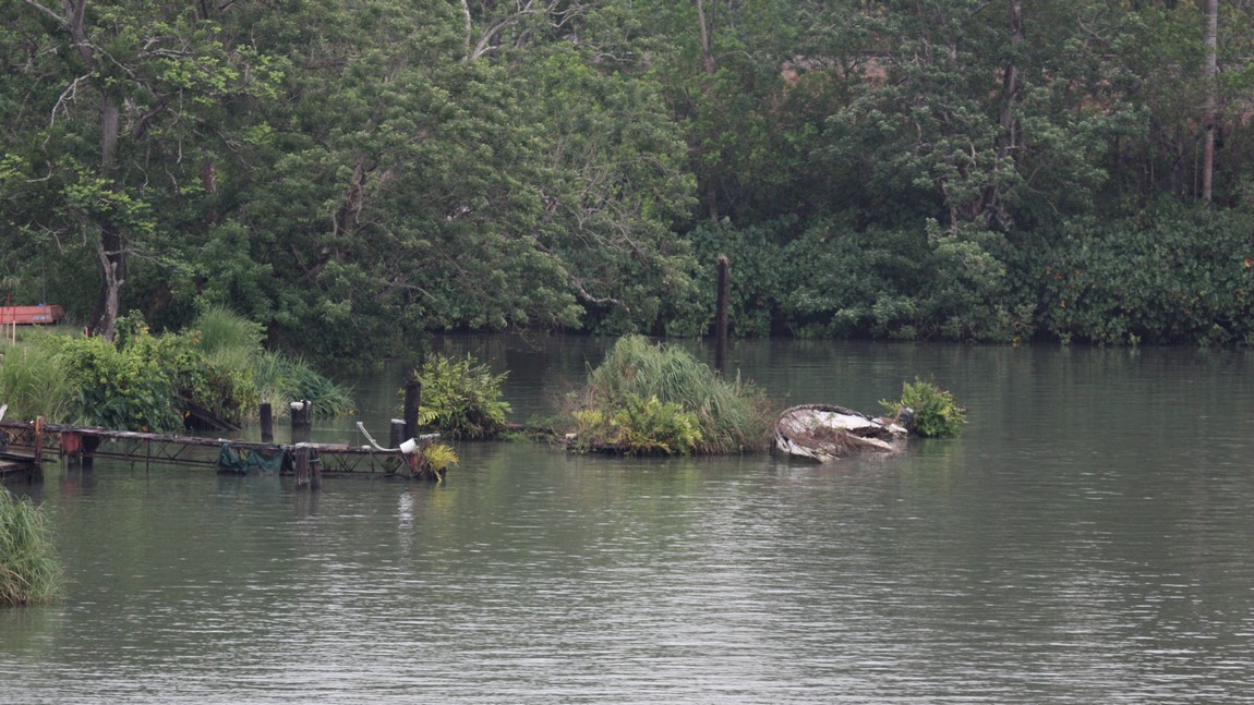 Old sunken boat