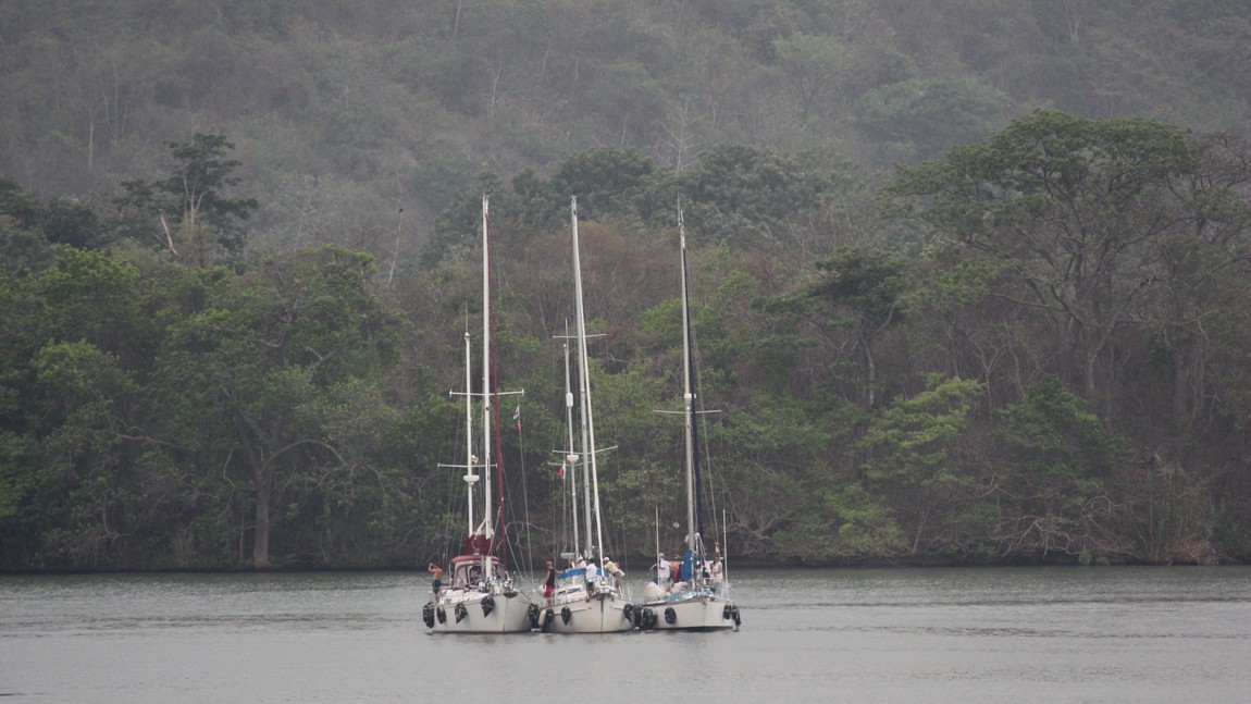 Three sailboats tied together