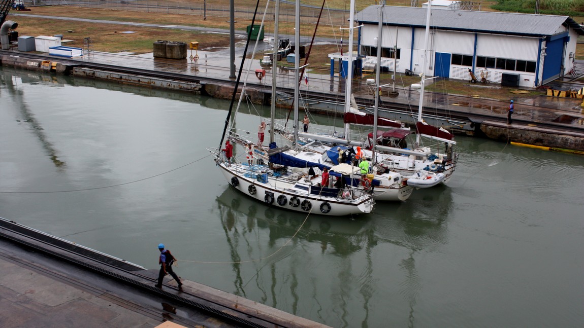 Three sailboats tied together