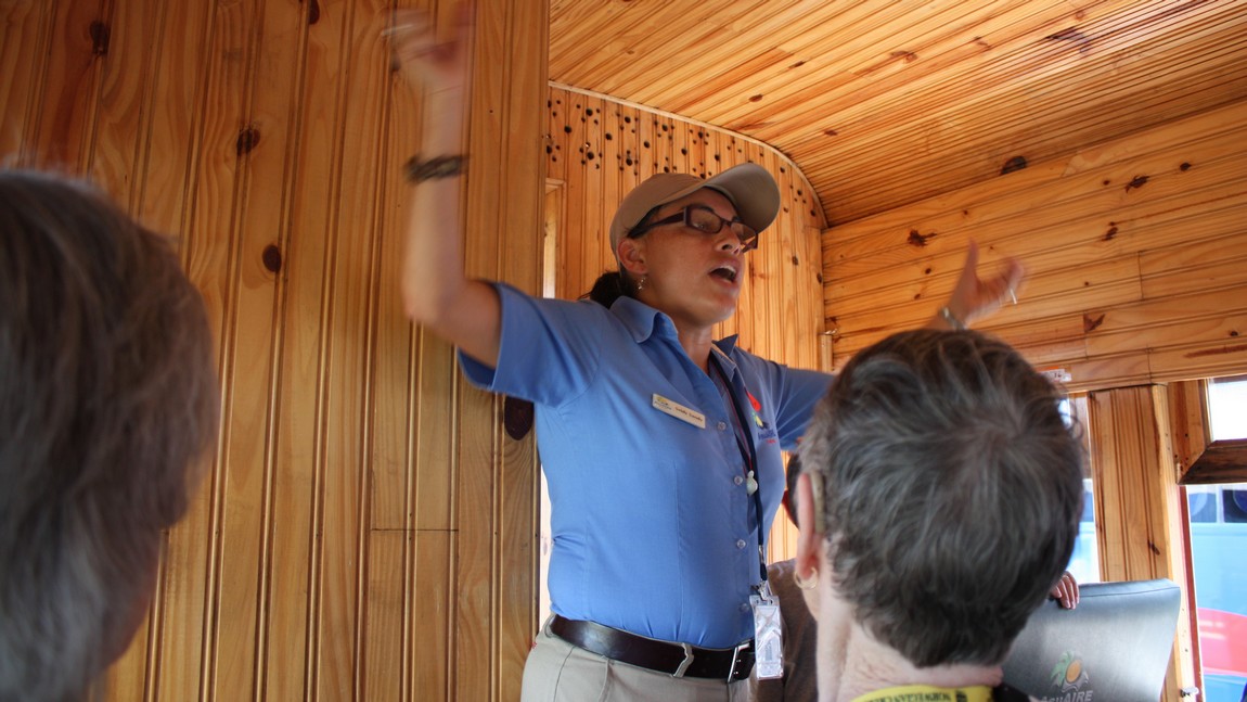 Riding a 100 year old train