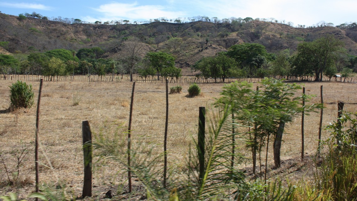 Passing a farming area