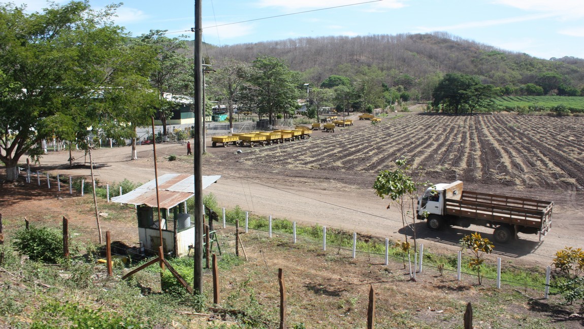 Commercial farming operation