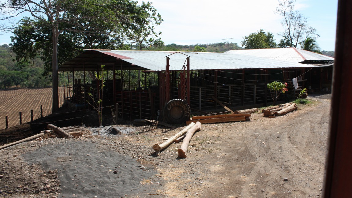 Animal pen with a farm