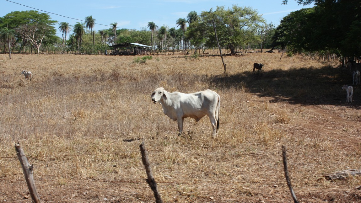 Passing a ranch