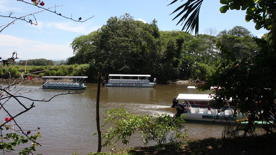 Tarcoles River tour