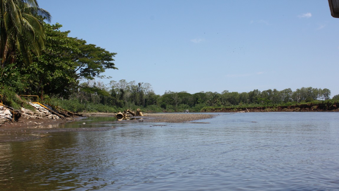 Boat tour on the Tarcoles River