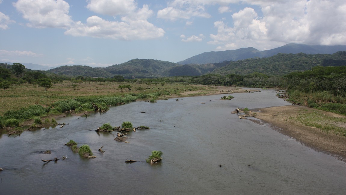 Tarcoles River