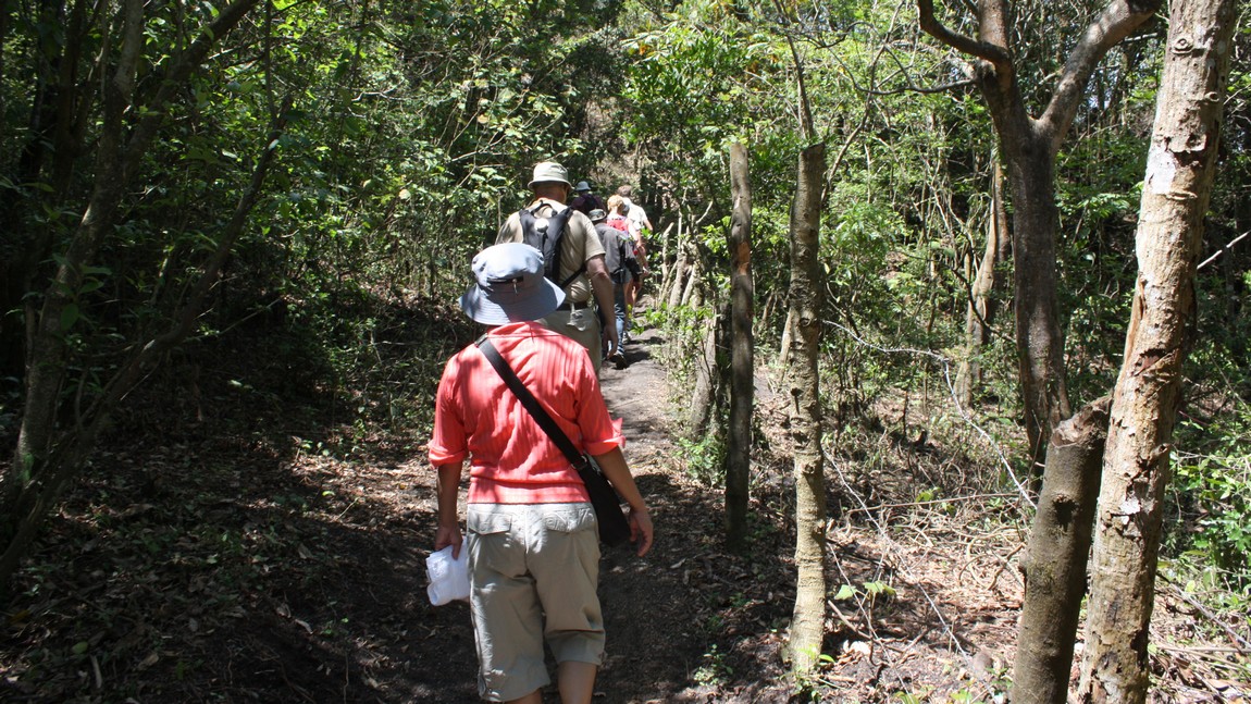 Walking on the trail