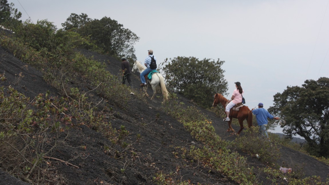 Some people pay to ride horses
