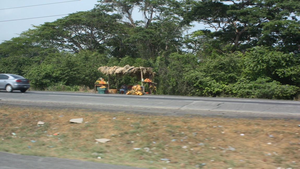 Roadside fruit stand