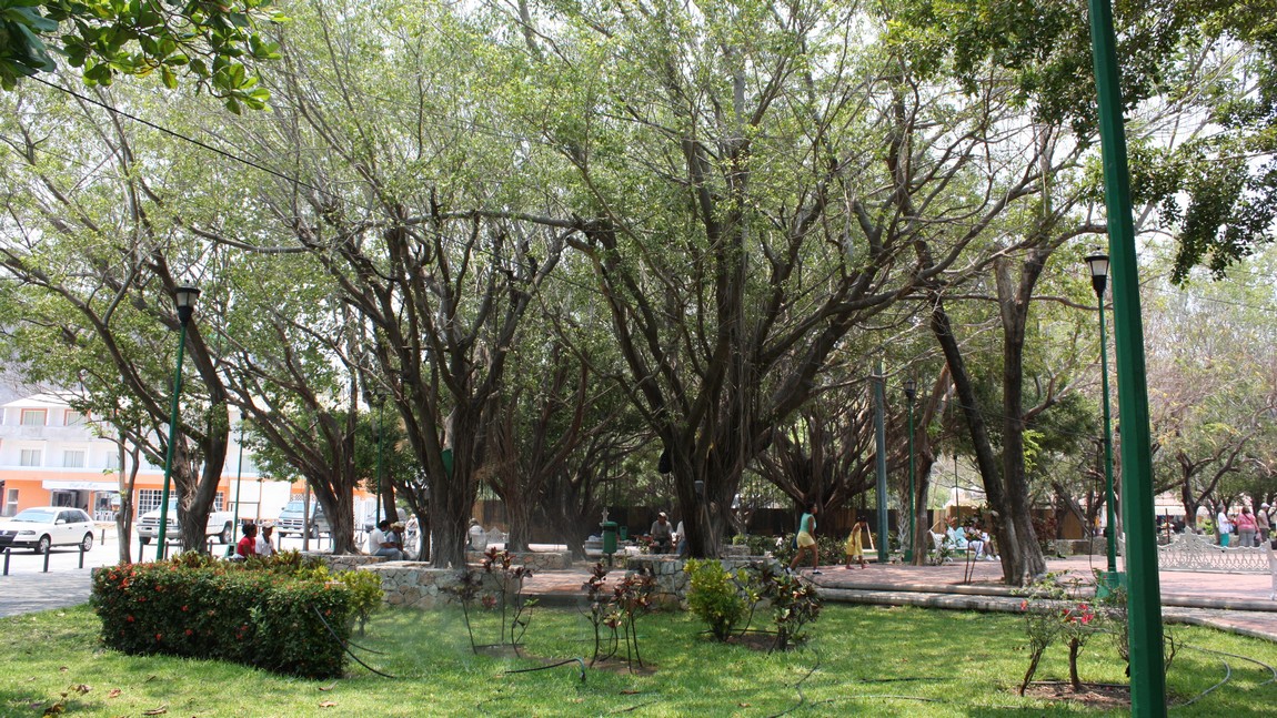 Baha Santa Cruz Park