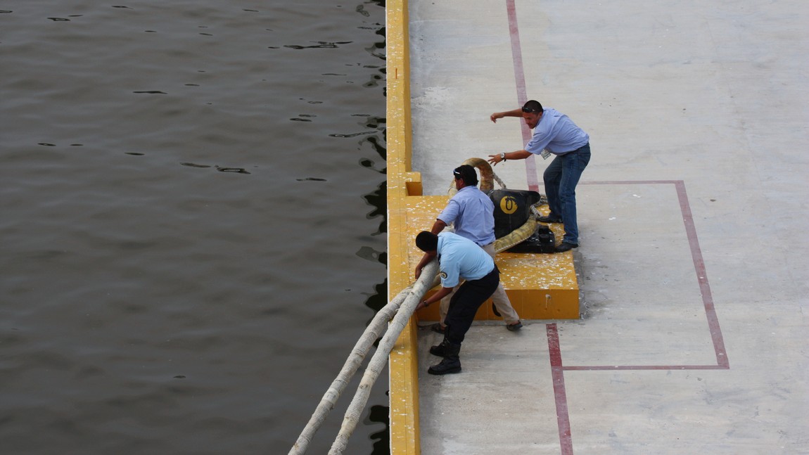 Releasing our lines