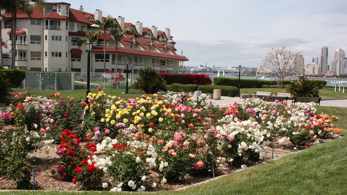 Centennial Park