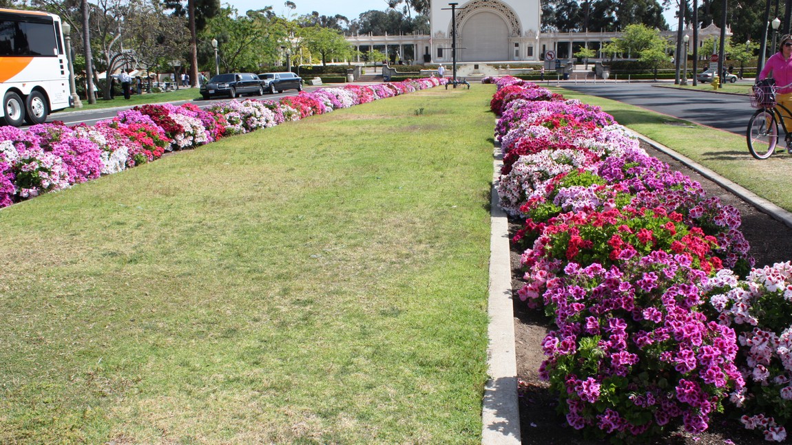 Flowered pathway