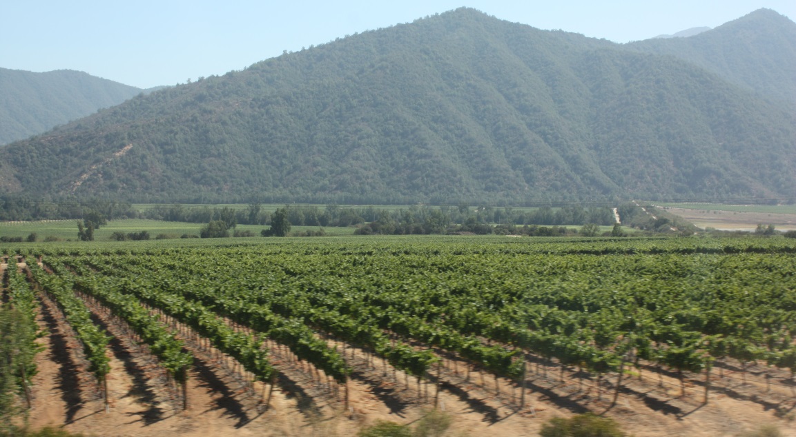 Farming in Lolenco