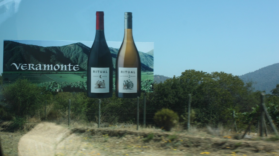 Veramonte vineyard in Casablanca