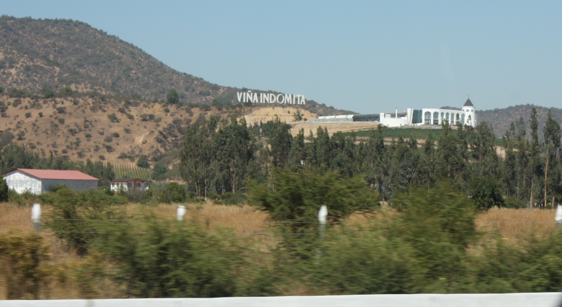 Vina Indomita near Casablanca