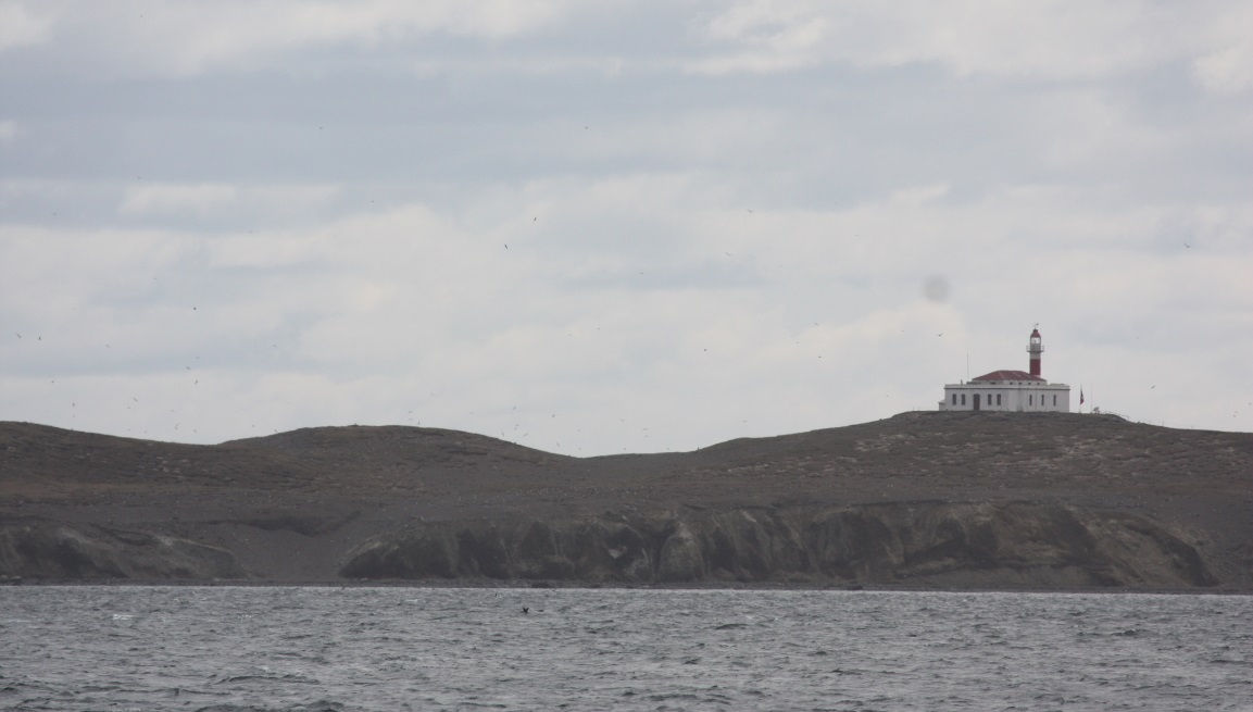Approaching the penguin colony