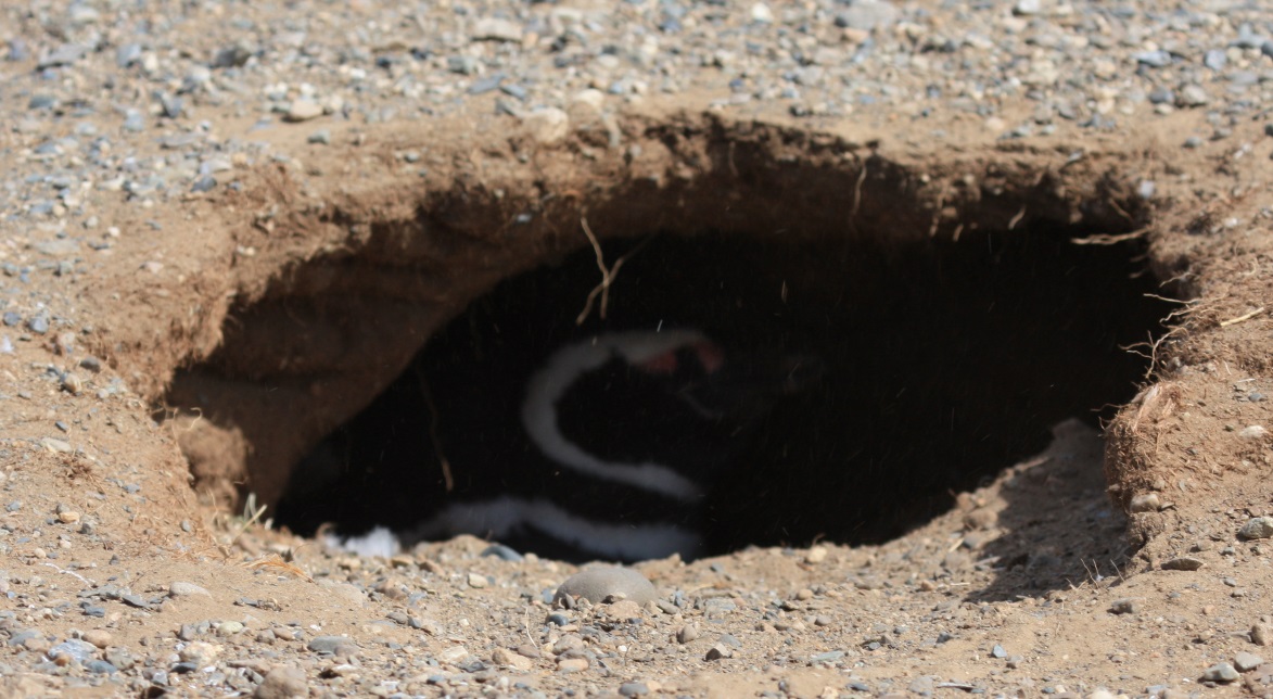 Deep in his underground house