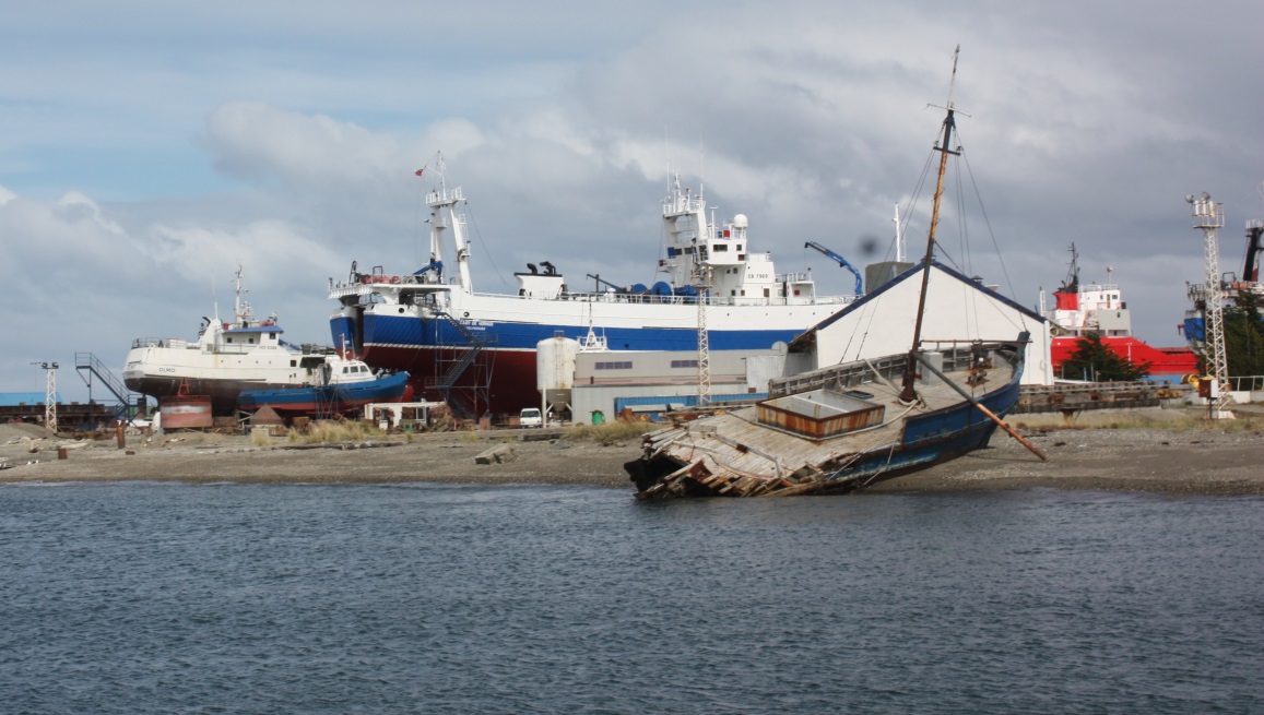 Returning to Punta Arenas
