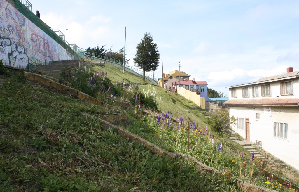 Walking up to a scenic overlook